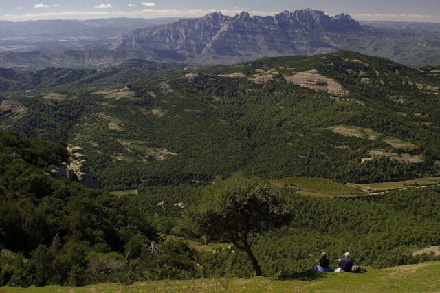 20100925T135708-PENTAX-IstDL-RPS-Ed-GMP_gr-OS