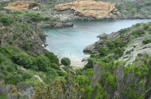 20110424T122332-FUJIFILM