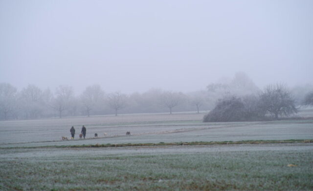 20161208t141028-pentax-k-11-1