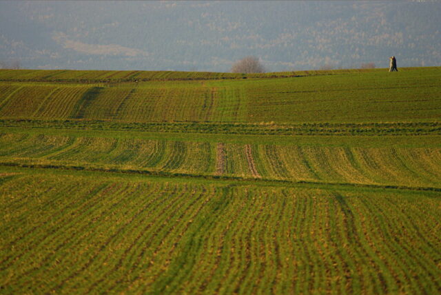 20170106t153316-pentax-k20d-1