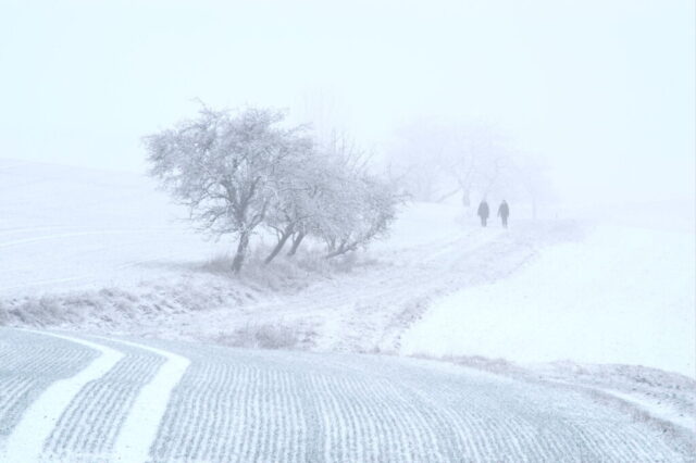 20190111t125346-pentax-k20d1-1