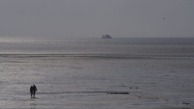 20190611T180016-PENTAX-K-1.tif.out.pp3