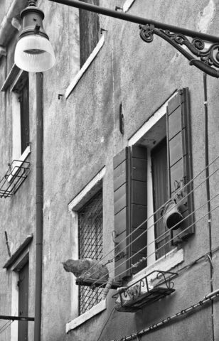 20221022T104421-PENTAX-K70-RPS-Editar-Editar-Editar-OS