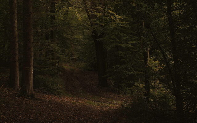 20201013T092038-PENTAX-K70-RPS-CEP-VZ-Editar-Ed-CEP-Ed-Ed-Ed-OS
